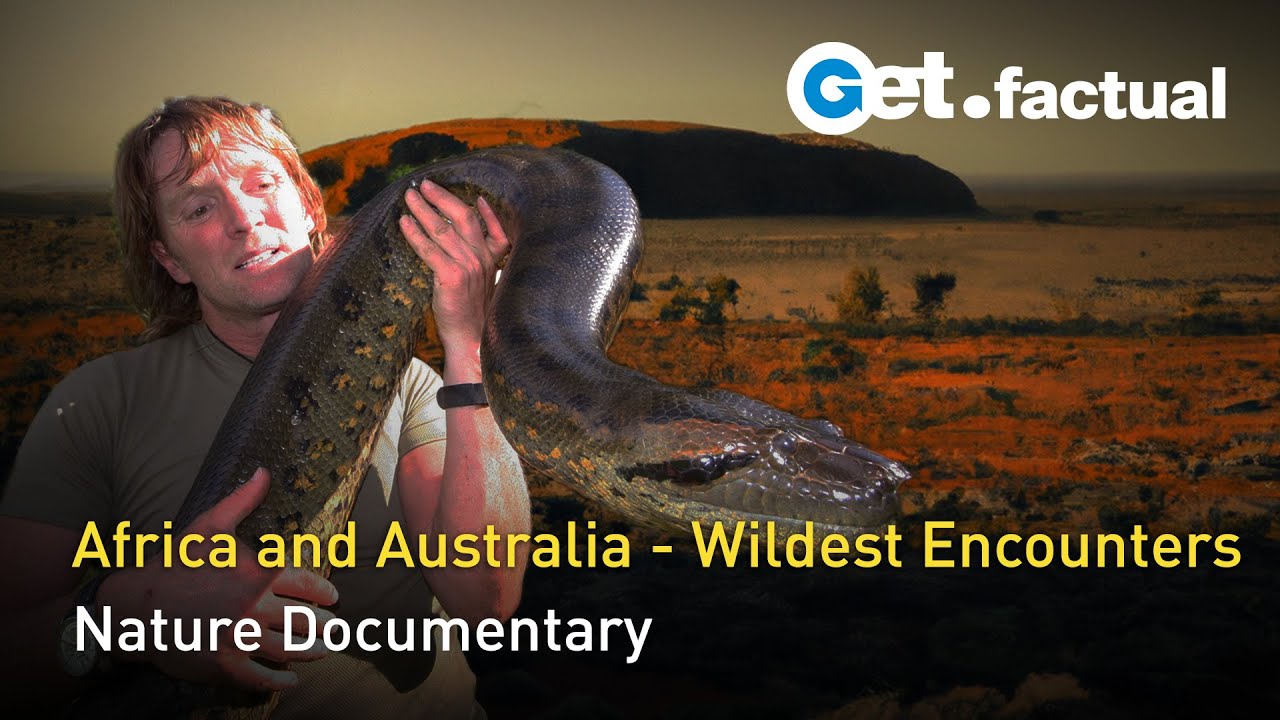 Andreas Kieling - Wildest Encounters in Africa and Australia - Full Documentary