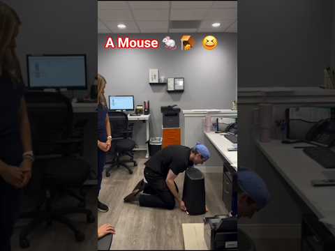 A Mouse ... 🐭 😆 🤣 😂