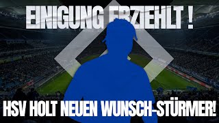 EINIGUNG ERZIEHLT!! HSV HOLT NEUEN WUNSCH-STÜRMER!