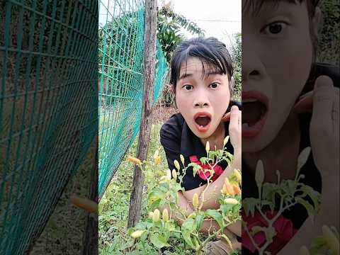 HAHAHA 🤣🤣🤣 So funny. What kind of joke is this? #vanlaugh #funny #viralvideo