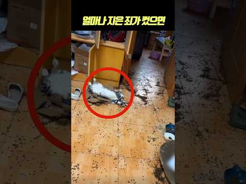 얼마나 지은 죄가 컸으면..
