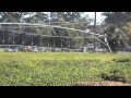 Soil Moisture Sensors and Precision Agriculture