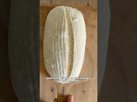 La función del vapor al hornear PAN #pizza #bread #recipe #food
