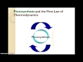 Energy and Matter in Ecosystems