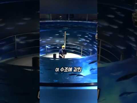 이 수조를 벗어날 수 없는 이유