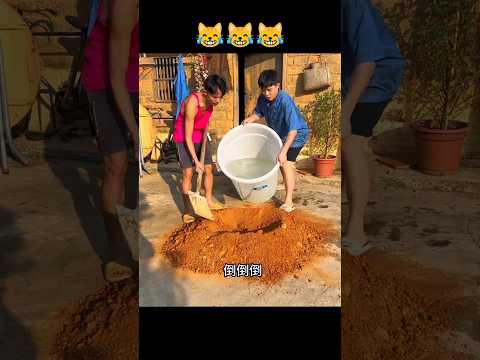 Epic Funny Video 😂😂😂 #funny #viralvideo #funnyshorts #comedy #memes #humor
