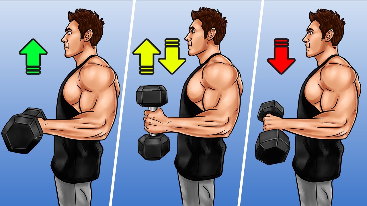 7 Best Biceps Exercises for Bigger Arms (science-based)