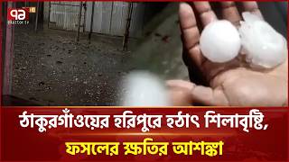 ঠাকুরগাঁওয়ের হরিপুরে হঠাৎ শিলাবৃষ্টি, ফসলের ক্ষতির আশঙ্কা | Ekattor TV