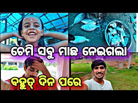 ଚେମି ସବୁ ମାଛ ନେଇଗଲା 😱@Luckyjujuvlogs9777