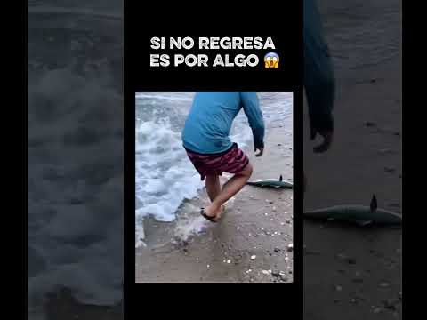 Si no regresa es por algo #yosoydelos7mil #elpersonajedelasemana