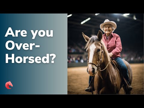 Is Your Horse a Good Match For You?