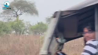 Elephants Moment In Forest | Wild Elephants in Forest | Elephants Eating