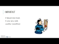 Exploring Passe Compose and Imparfait in French