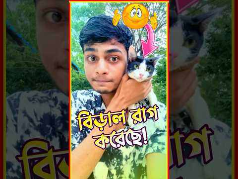 আমার বিড়াল রাগ করেছে😁 | Bengali Mini Vlog- 51 #shortsblog #funny #minivlog