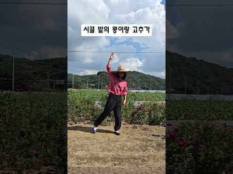 친정으로 일찍 오려는데 콩이랑 고추가~며늘아가! 부르네요~ 그닥 도움도 안될건디🤣#댄싱다연#쉘위셔플 #추석#시골#며느리#5060#7080#취미생활