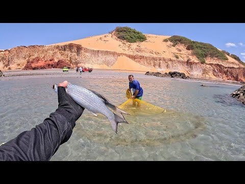 PESCA DE TAINHA ( SAUNAS) NO MEIO DAS PEDRAS! DIEGO PESCADOR AMADOR