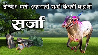 सर्जा | डोळ्यात पाणी आणणारी सर्जा बैलाची कहाणी | Story of Sarja  #बैलगाडी  #khilar  #cowvideos  