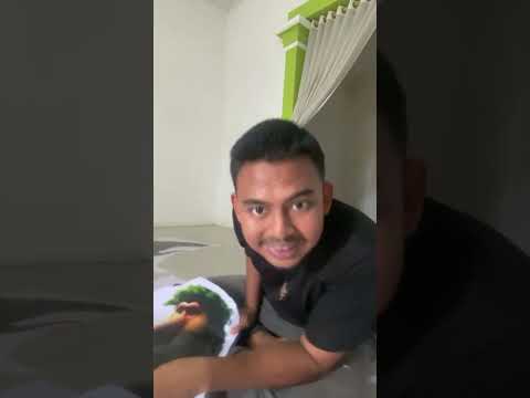 Sorotan 37.40 - 42.40 dari Temanin buat karakter anomali !