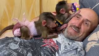 видео