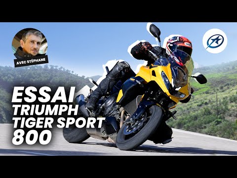 Triumph Tiger Sport 800 (Essai 2025) - Tigre domestique