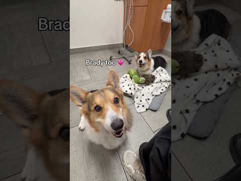 We had no idea his tumor had bled