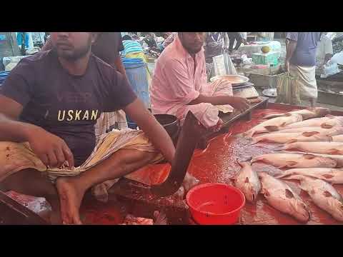 Village Style Fish Cutting by Expert | Dh Bangla Media