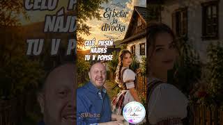Ej beťar ja divočka - Dj Paul Ľudová Tvorba #folklor #shorts #slovakia #ľudovka #slovakfolk #fyp