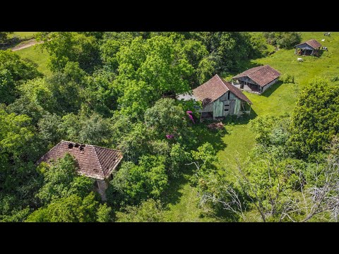 ABANDONADA EM MEIO À MATA, UMA CASA ANTIGA DIFERENTE DE TODAS QUE JÁ VI!