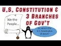 U.S. Government Structure and Functions