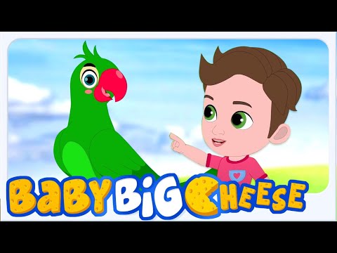 Main Tota Hare Rang Ka, मैं तोता हरे रंग का, Hindi Cartoon and Nursery Rhymes for Kids