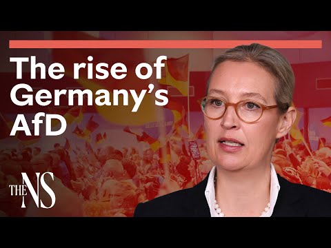 Who are Germany's AfD party? | World politics | The New Statesman