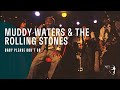 Themes and Elements in Music Video