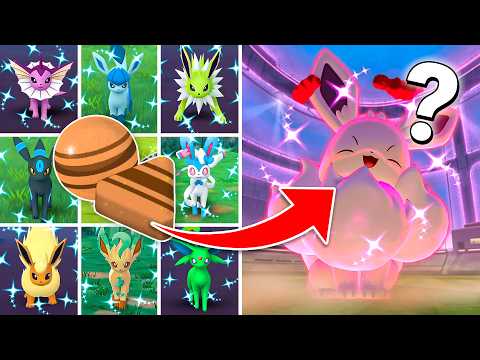 Watch This BEFORE Eevee Community Day!