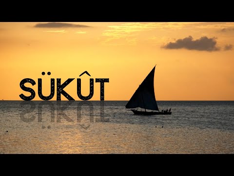 Sükût (Ney Enstrümantal)
