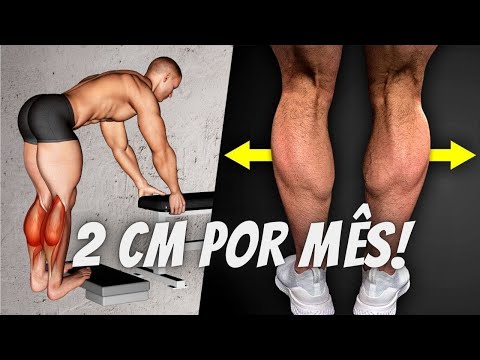 COMO AUMENTAR as PANTURRILHAS 10 DICAS