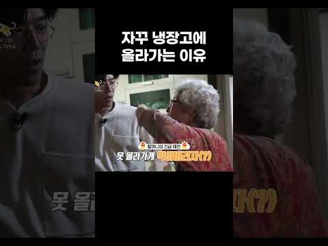고양이가 자꾸 냉장고에 올라가는 이유 #왜그러냥귀엽개 #shorts