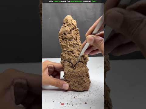 Dirty Cricket Trafee Cleaning🏏New Viral Gadgets, Smart Appliances, Kitchen Utensils/ Home Inventions