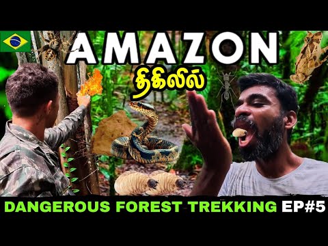 🐛அமேசான் காட்டுப்புழு ருசி அள்ளுது😋| 🇧🇷Brazil Amazon ep5