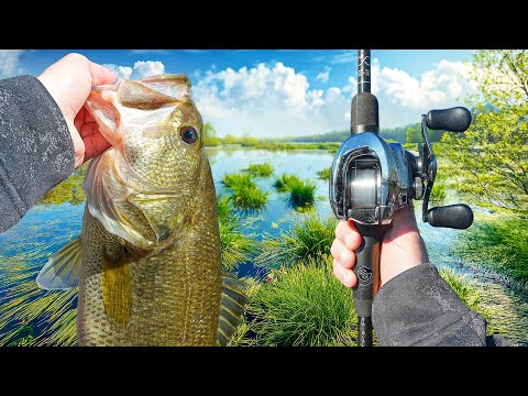 Hunting GIANT Pre-Spawn Bass On The Lake - I Found Them