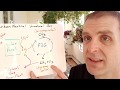 Renewable Energy and Photosynthesis Concepts