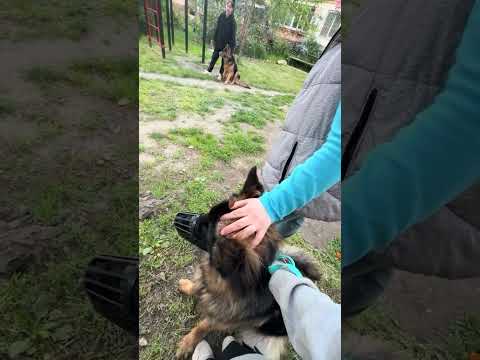 КТО ВСТРЕЧАЛ ТАКИХ ???🧐🧐🧐