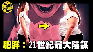 為什麼越窮的人越胖？“胖”並不是因為吃得多，而是廉價食品裡都含有“它”！21世紀最大陰謀，資本巨頭是如何操控窮人的一生的？[She's Xiaowu 小烏]