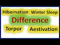 Hibernation and Estivation Characteristics