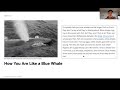 Evolutionary Connections and Fossil Evidence