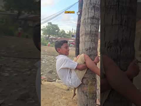 Ele esta preso na arvore ate agora