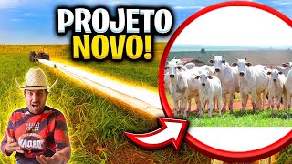 APRENDA A FAZER SEU PRóPIO CONFINAMENTO