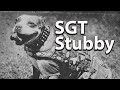 Sergeant Stubby: A Canine Hero