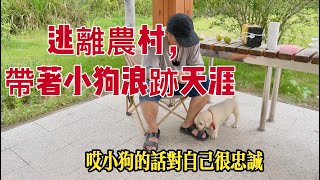 帶着小狗逃離農村，回不去的農村，人性複雜，流浪更自在
