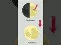 Understanding Moon Phases