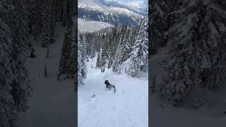 Polaris Factory Mod straight ripping